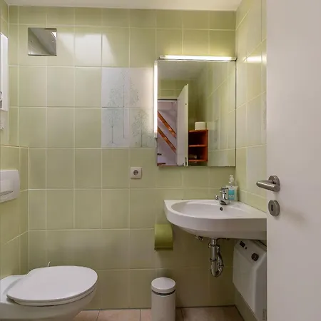 Magisterhof-5 *